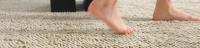 Professional Carpet Cleaning Service in Adelaide image 1